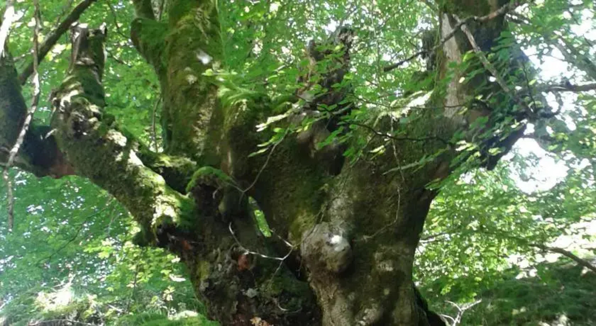 Albergue de Sorogain