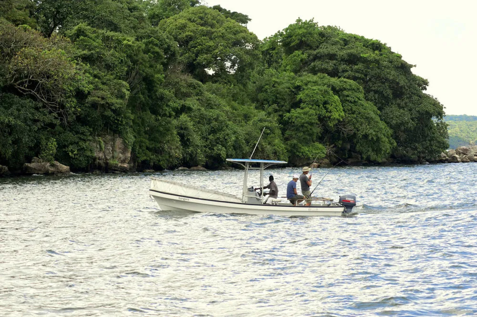 Rubondo Island Camp