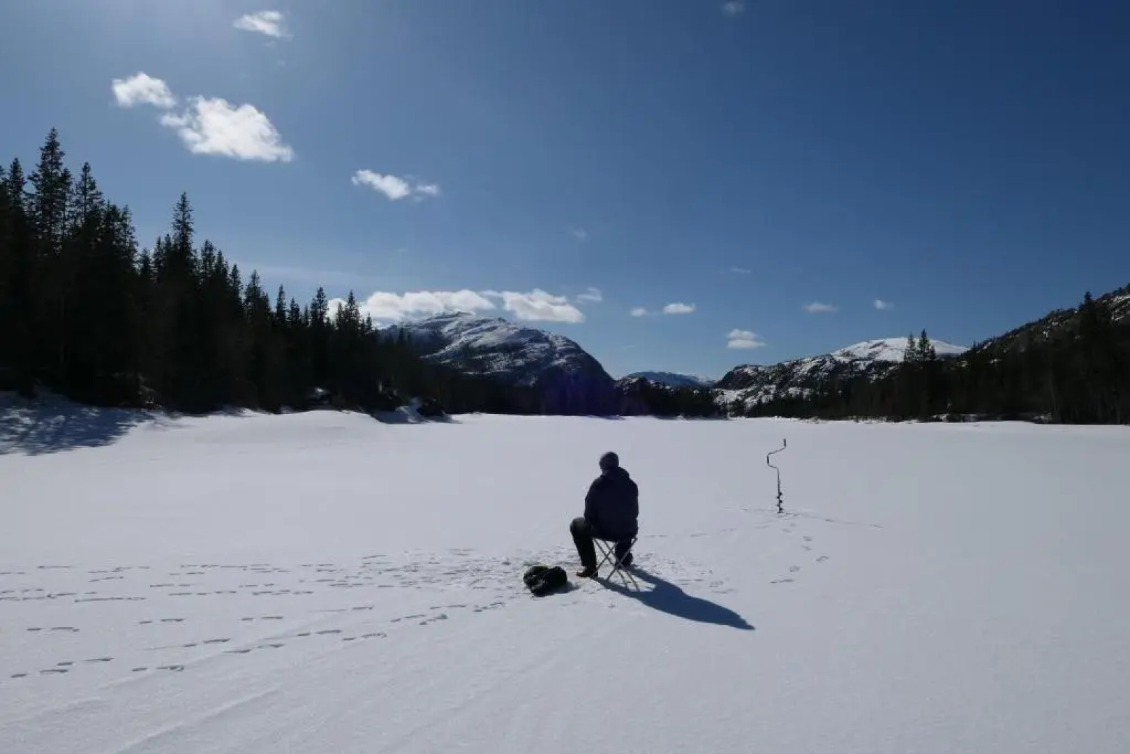 Velfjord camping & hytter