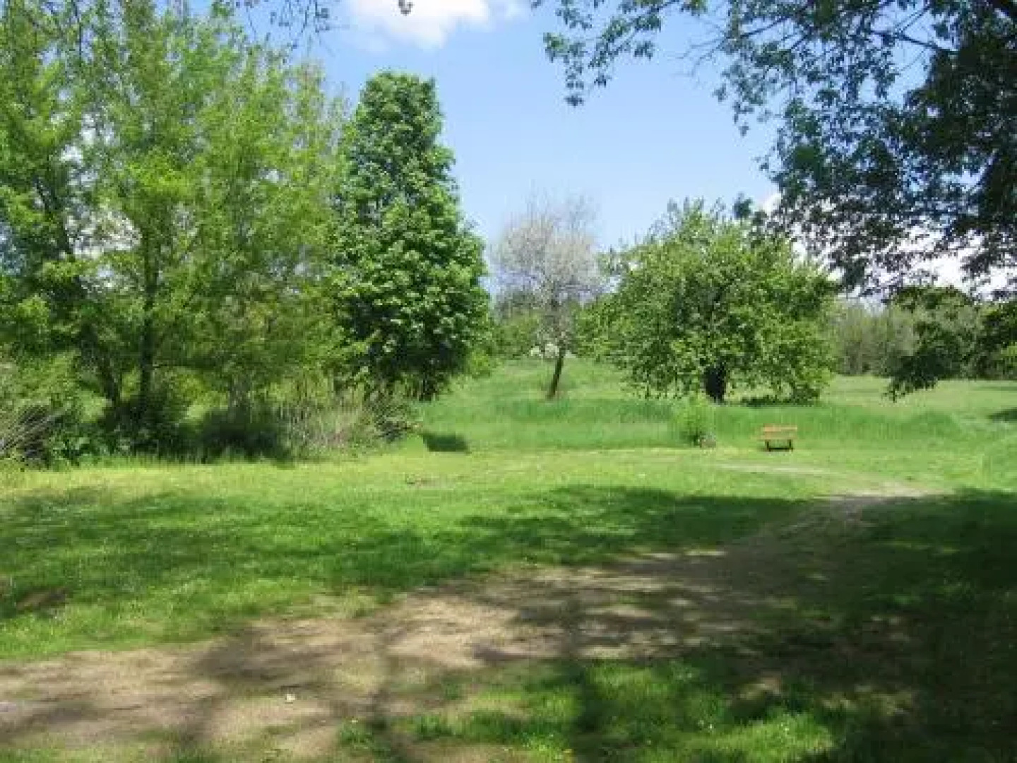 Mater Salvatoris House