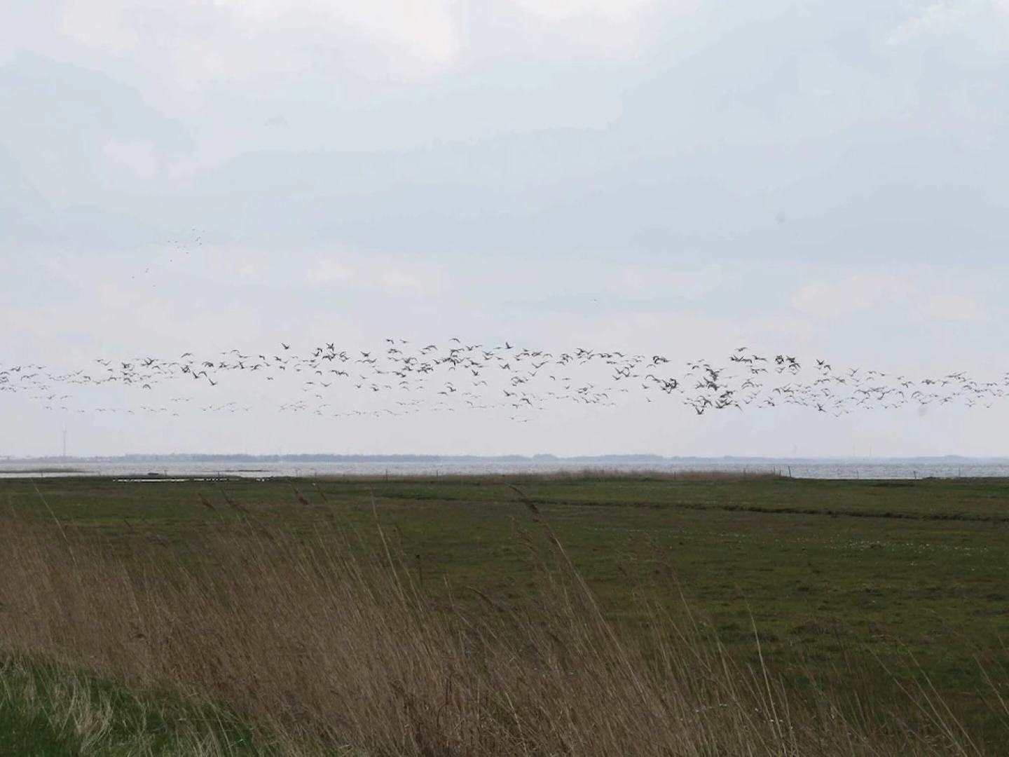 6 Person Holiday Home in Ulfborg