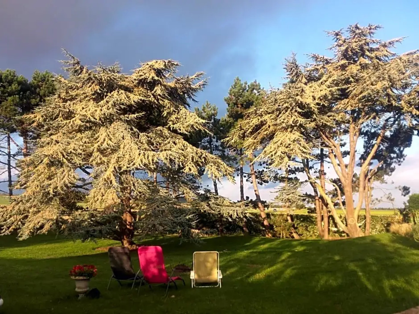 Chambres d'Hôtes "Les Pins"