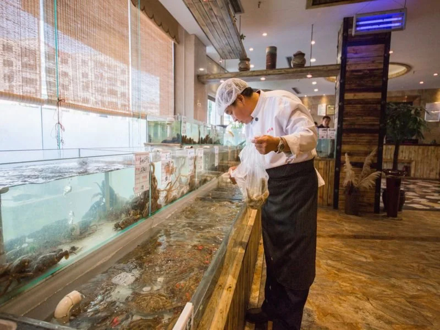 Qingdao Great Tang Harvest Hotel