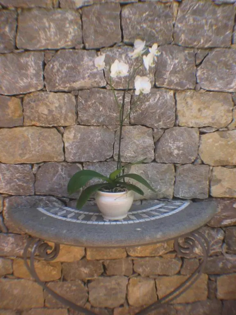 Villa Schuler Garden Suite