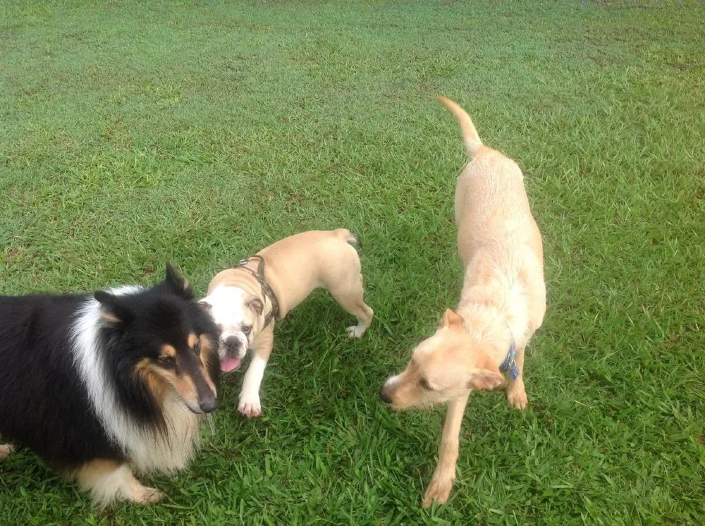 Lagoon Pocket Bed & Breakfast