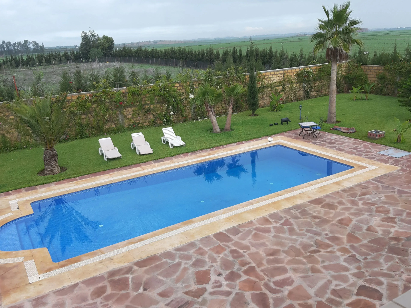 Riad Tanjil