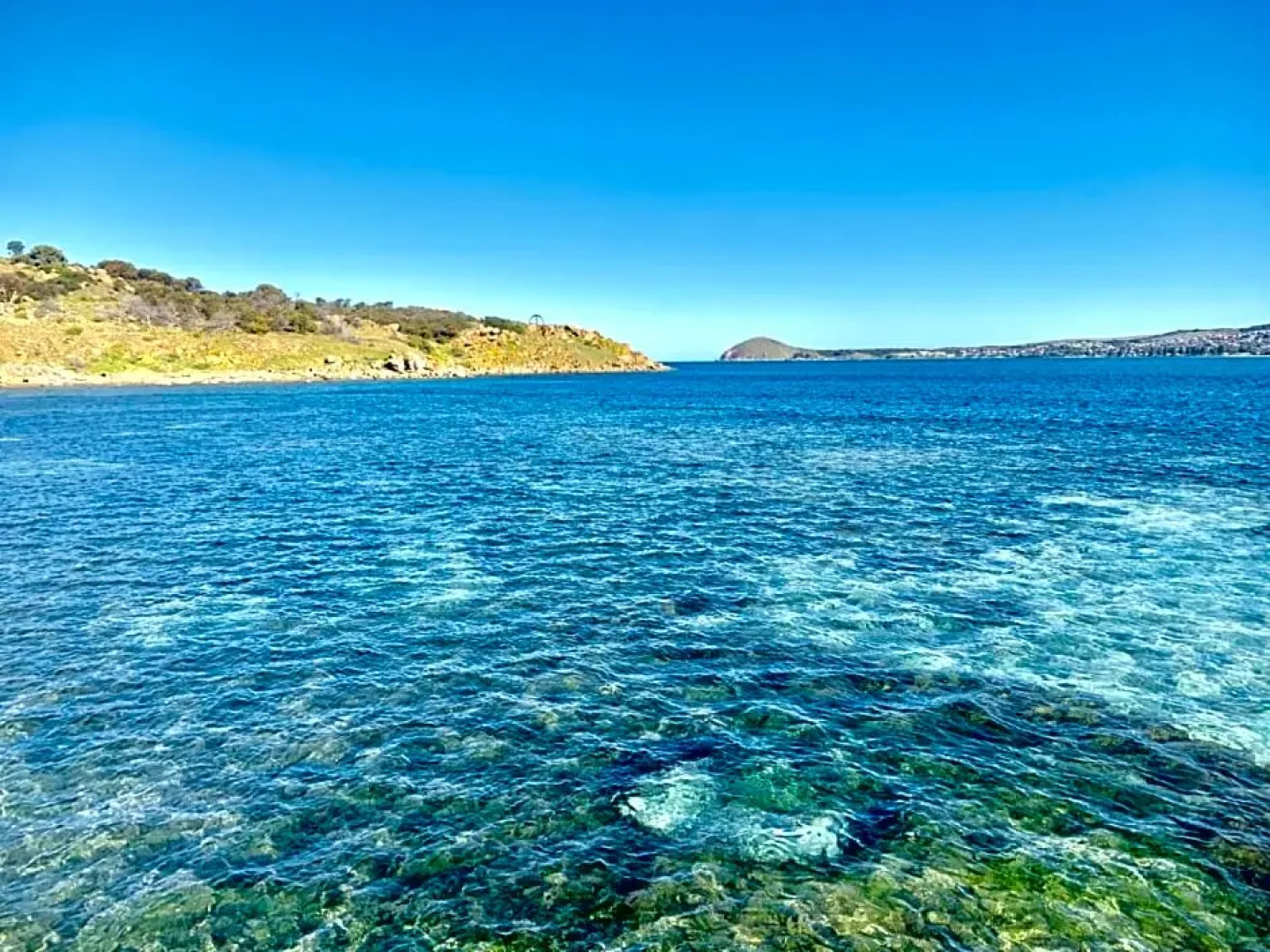 The Bluff Resort Apartments