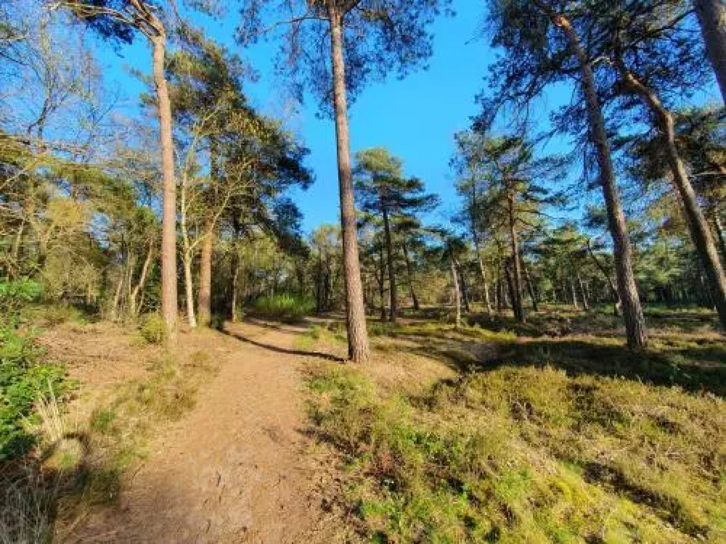 Landal De Witte Bergen