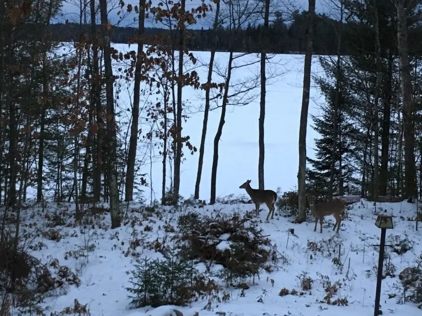 Musky Bay - 3 Br Home