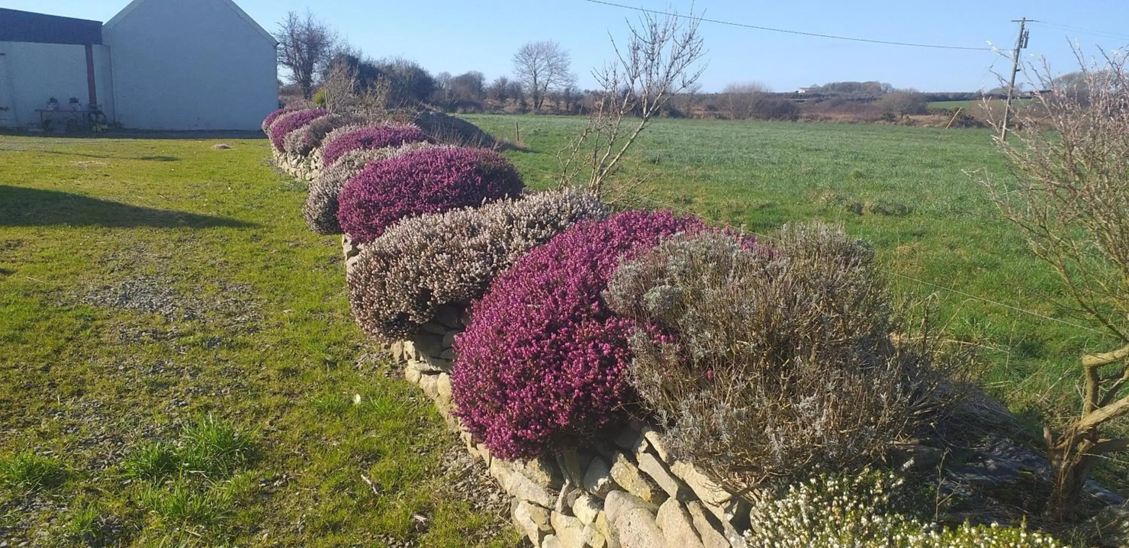 Murphys Irish Farmhouse