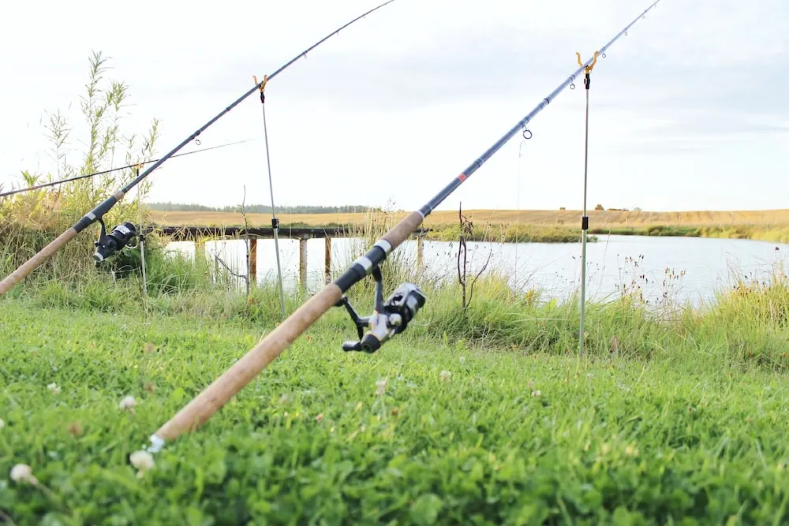 Zajazd Agro nad Stawem