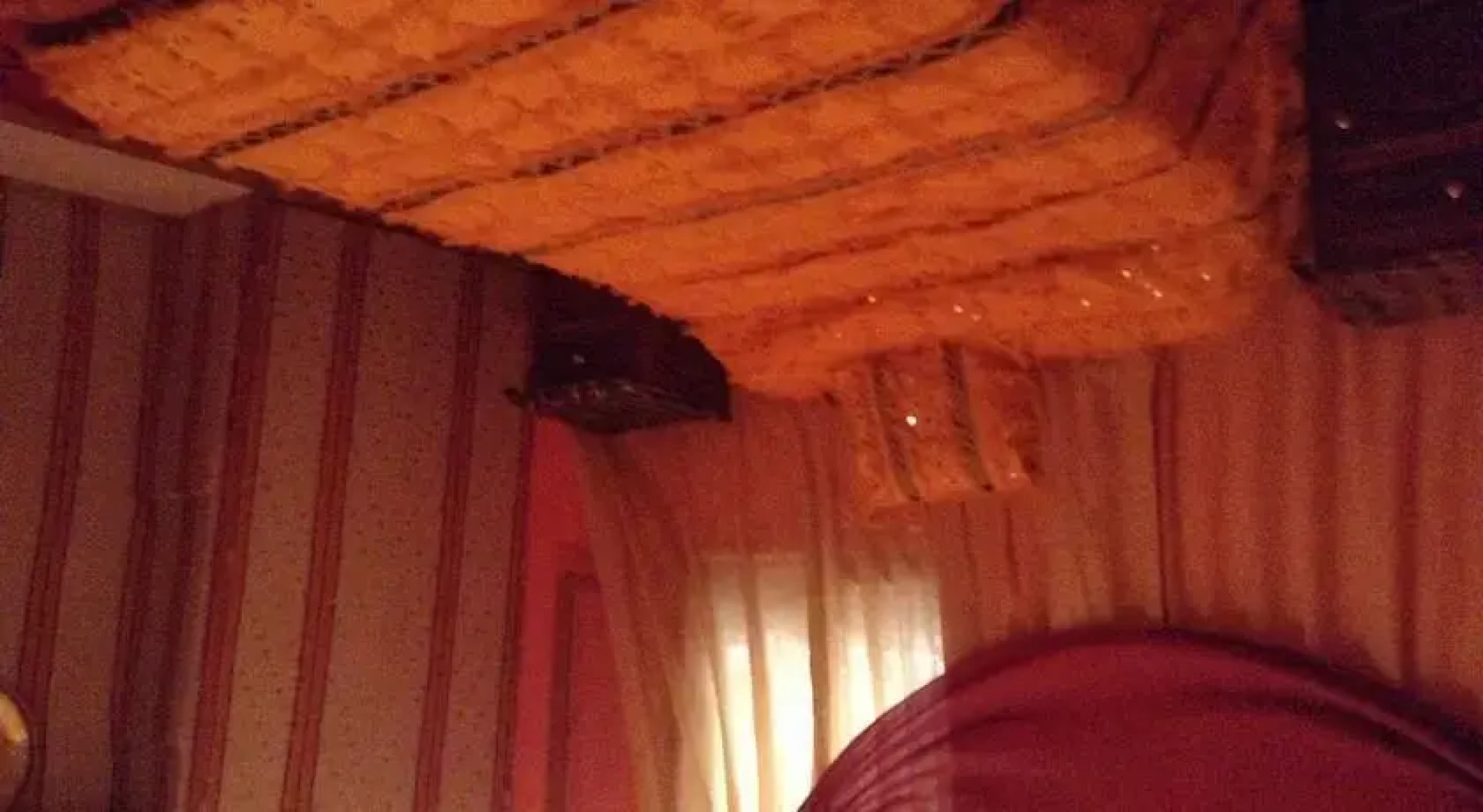 Hotel Rosa Damaskina