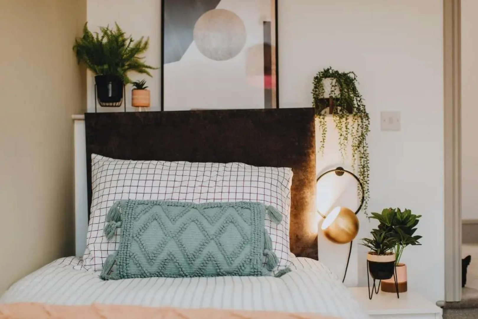 Entire House with Parking in Rugby