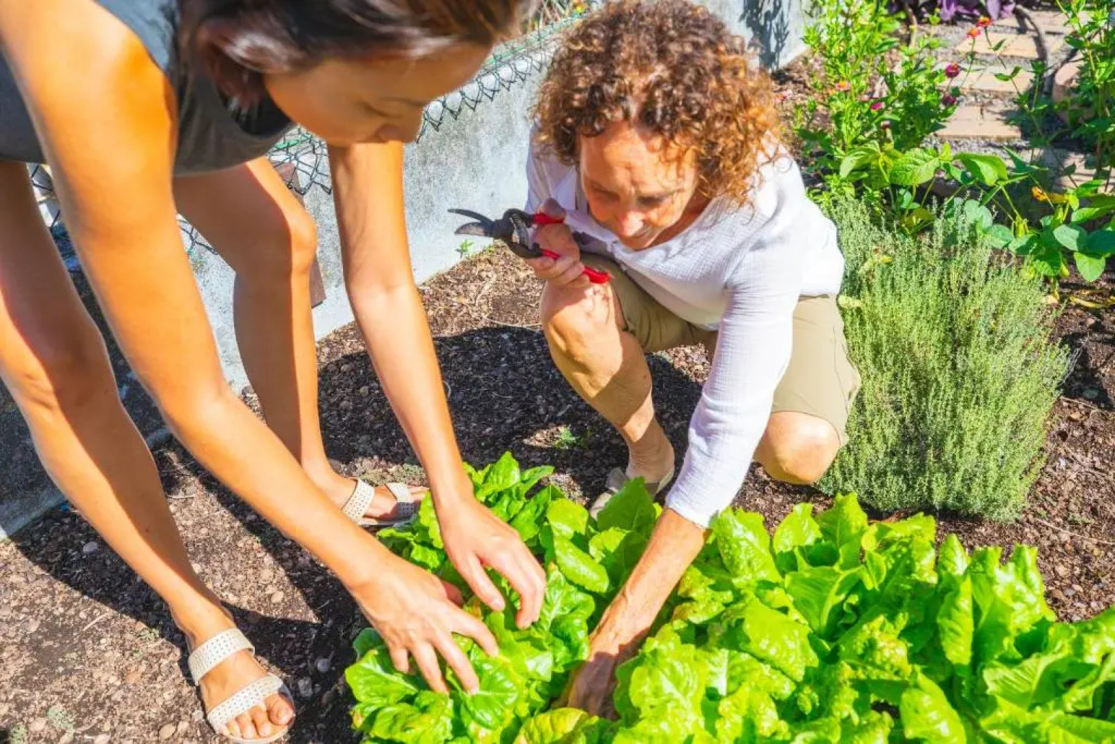 Affordable Luxury on One Acre