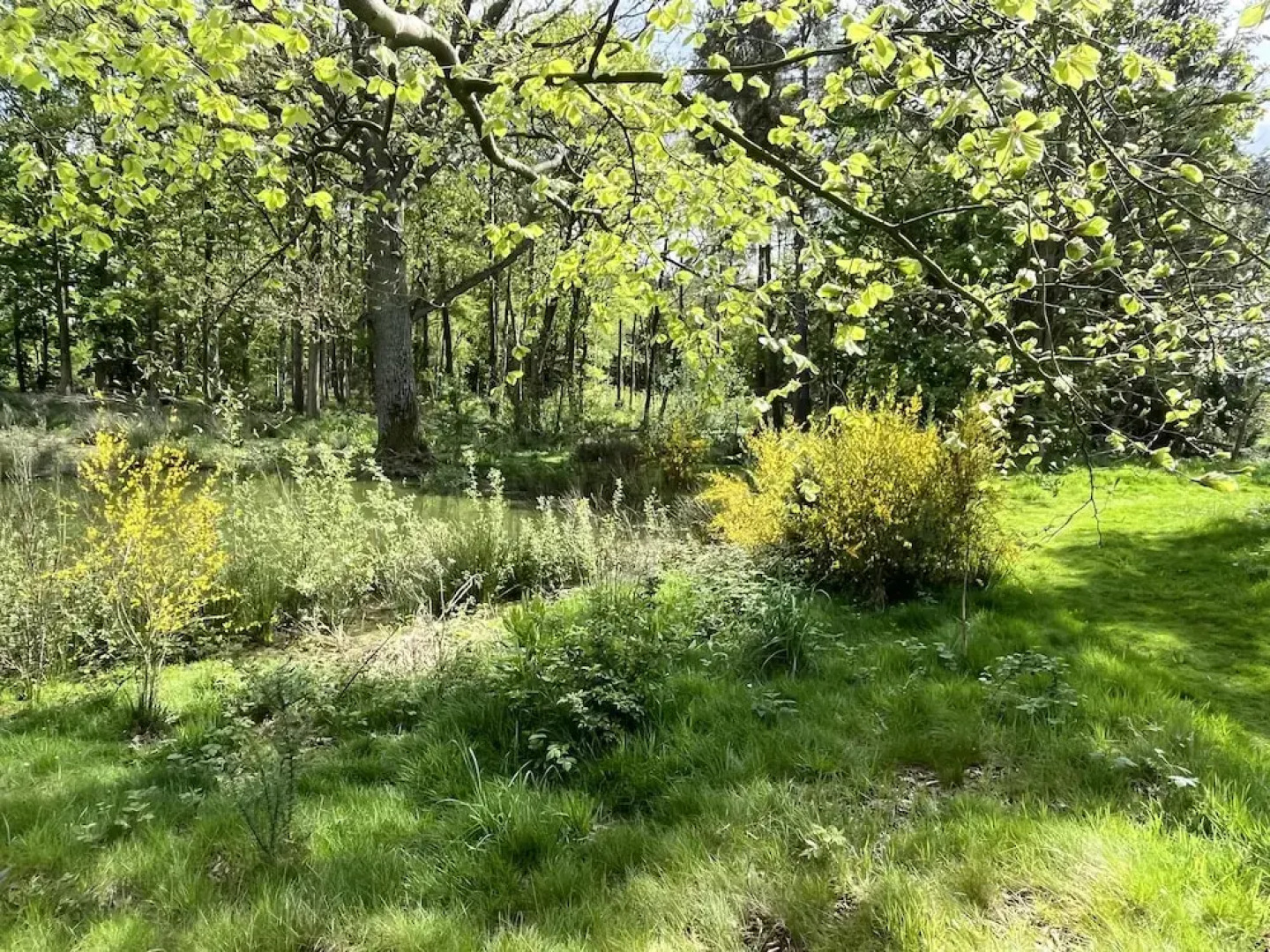 Rowan Boutique Lodge for Couples With a dog