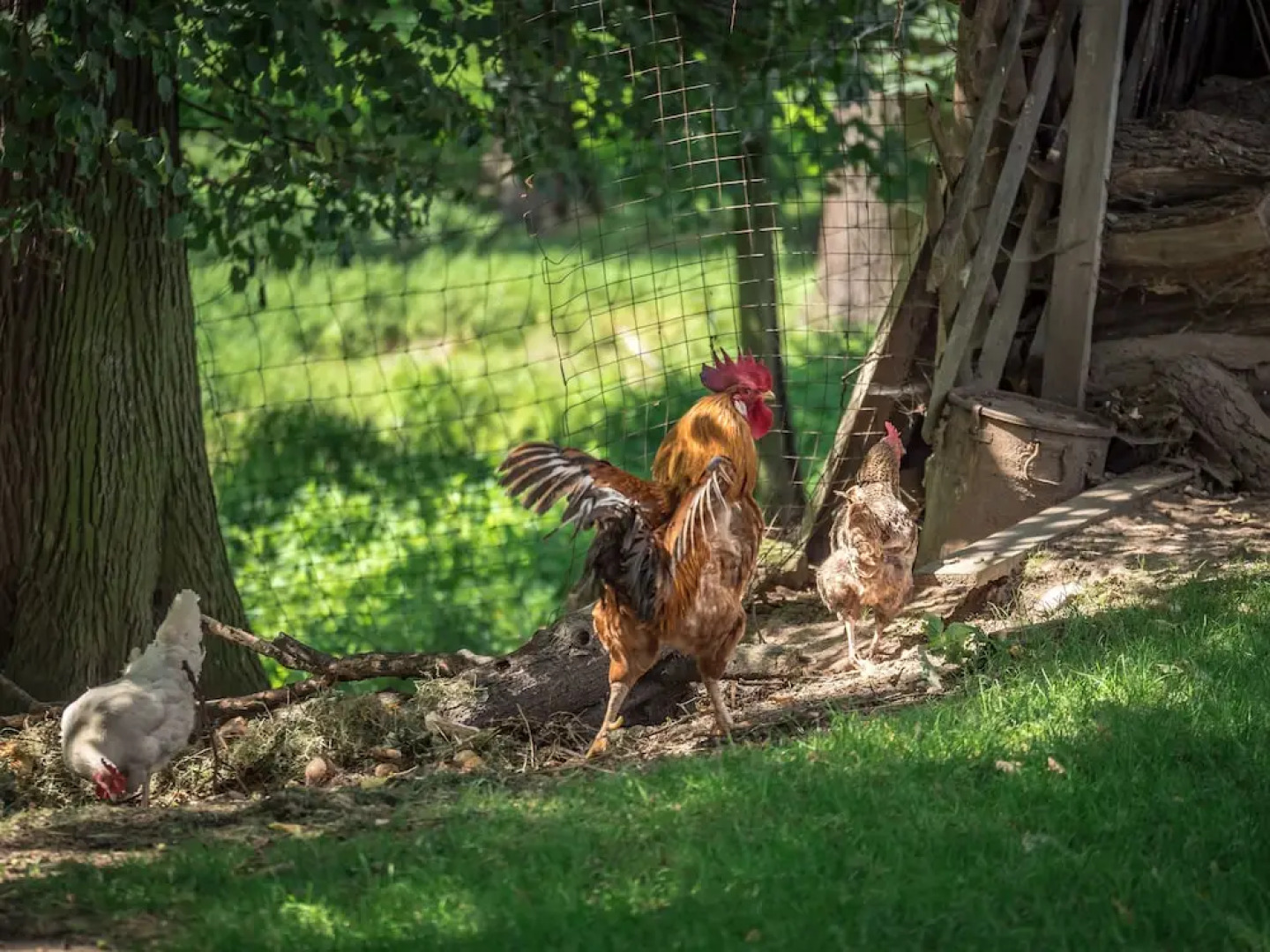 Landhotel Zur Guten Einkehr