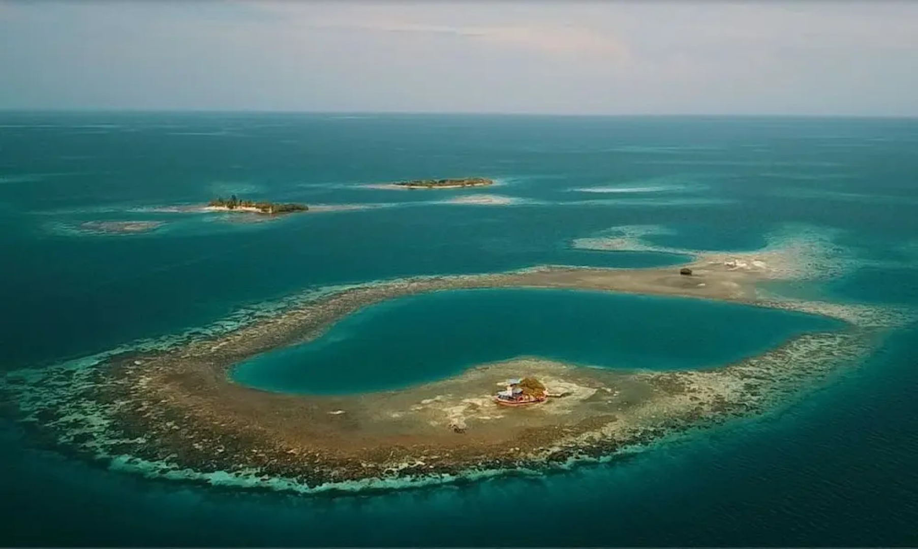 Bird Island Placencia