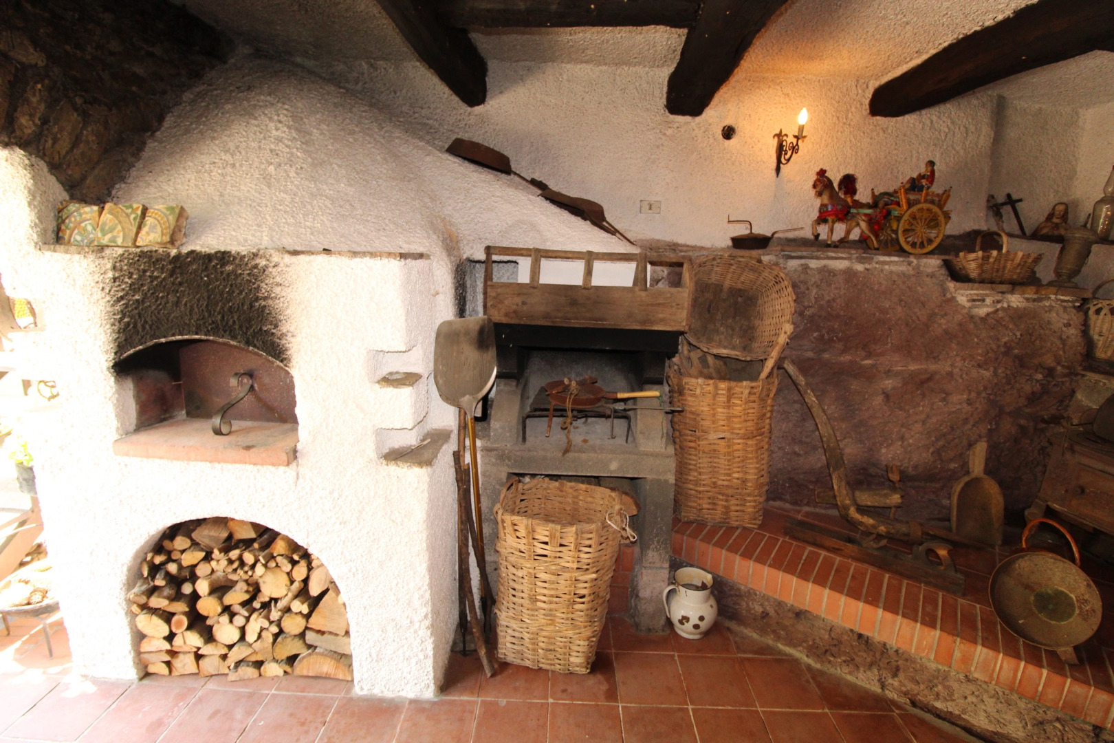 Glicine among vineyard