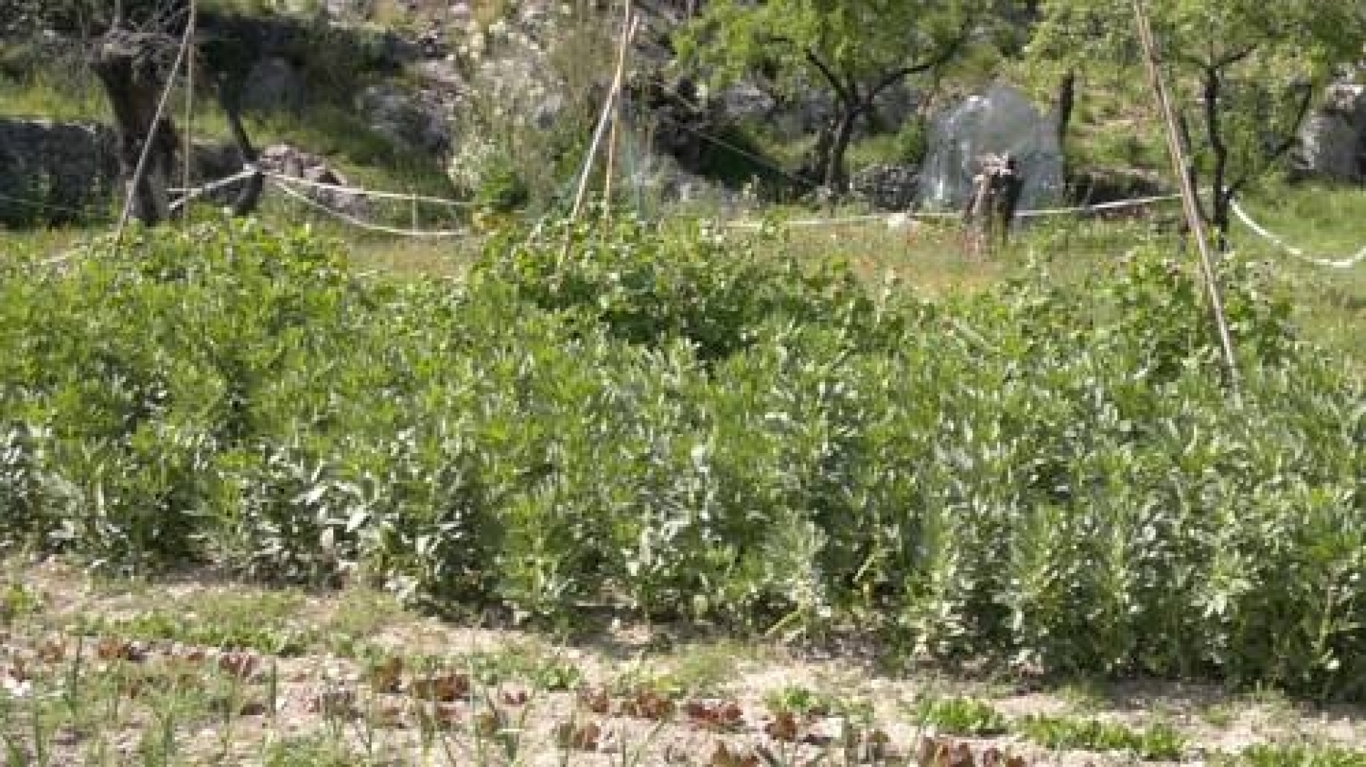 Casa Rural La Casota