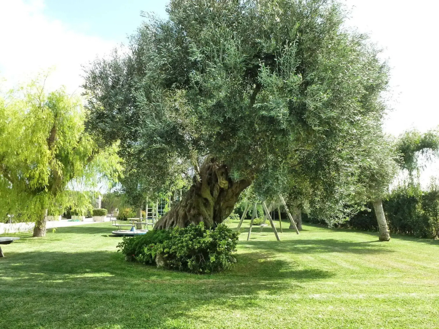 Agriturismo Li Damiani