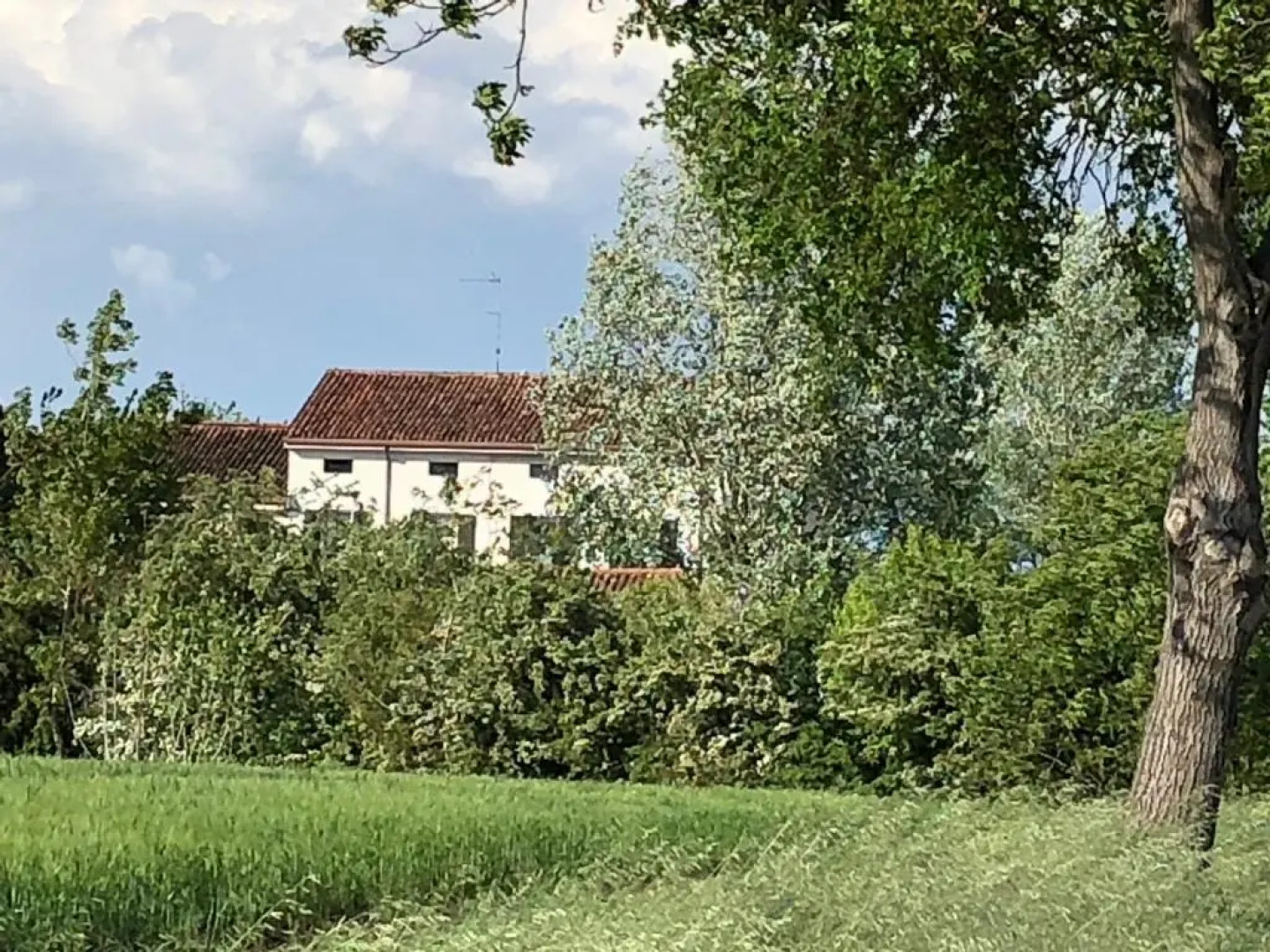 Agriturismo Viridarium