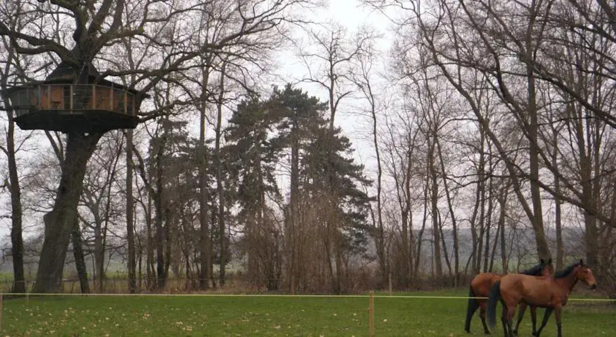 Domaine de Poiseuil - Insolite