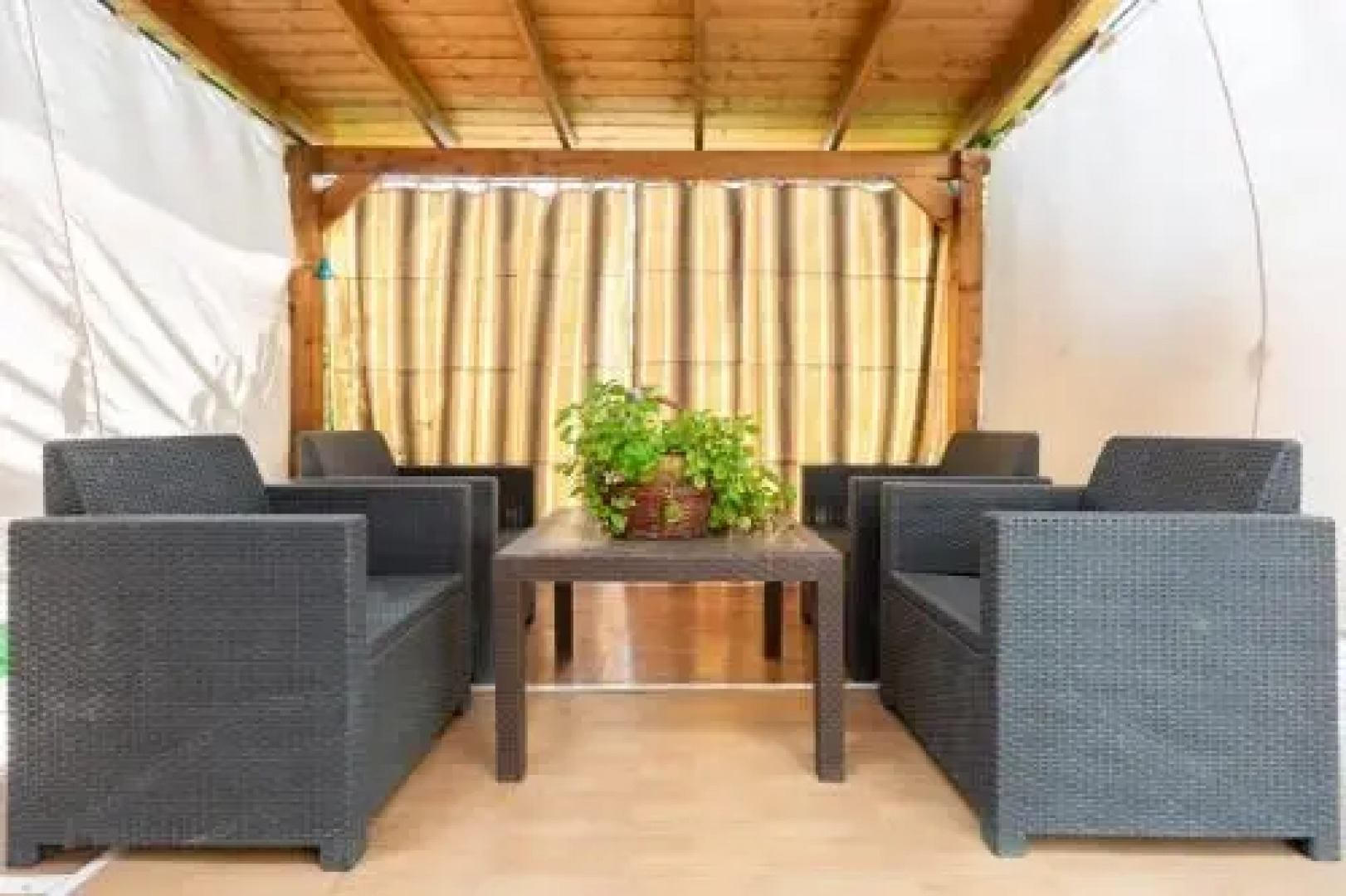 Fidalsa Orange Trees