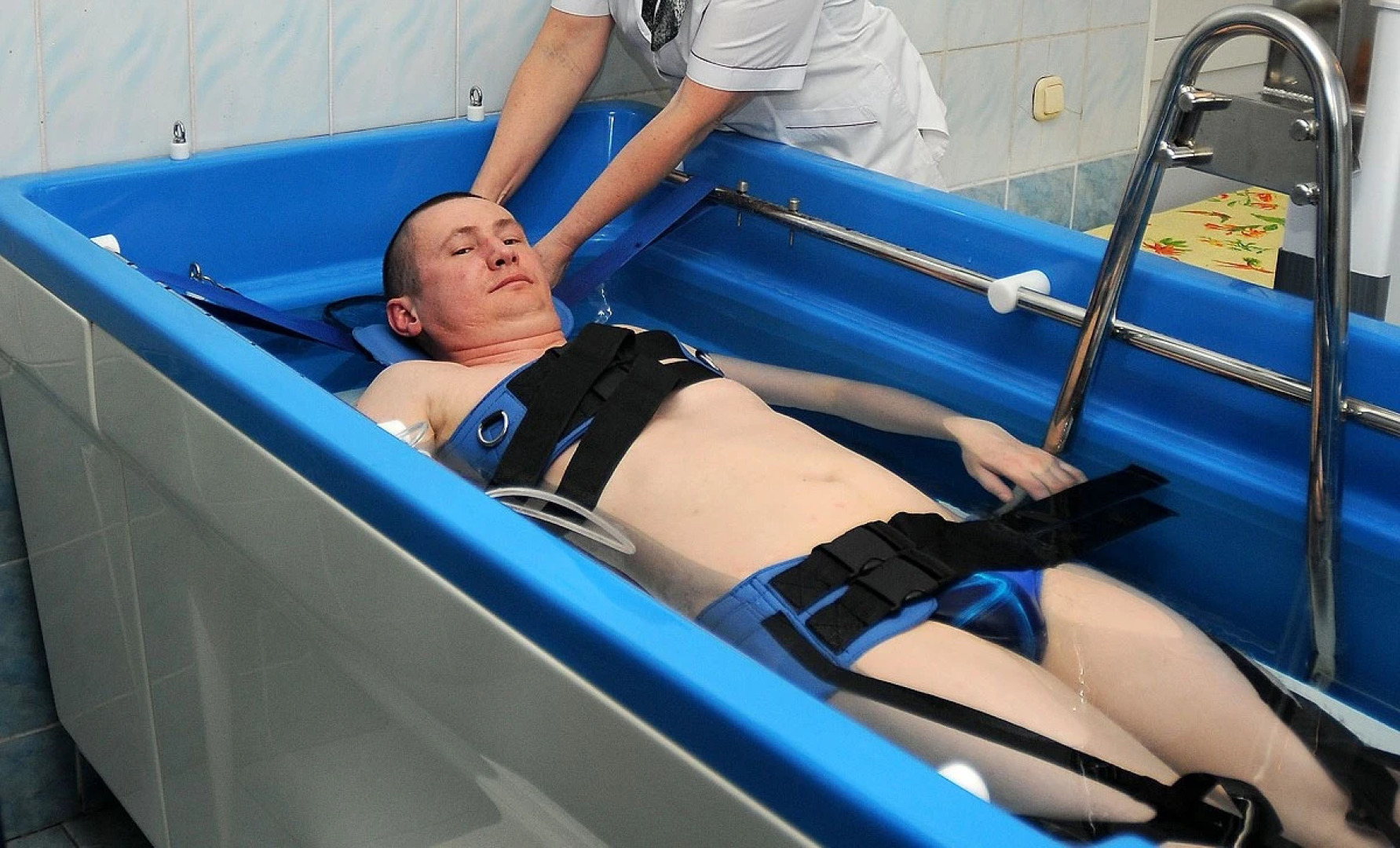 Кедровый бор