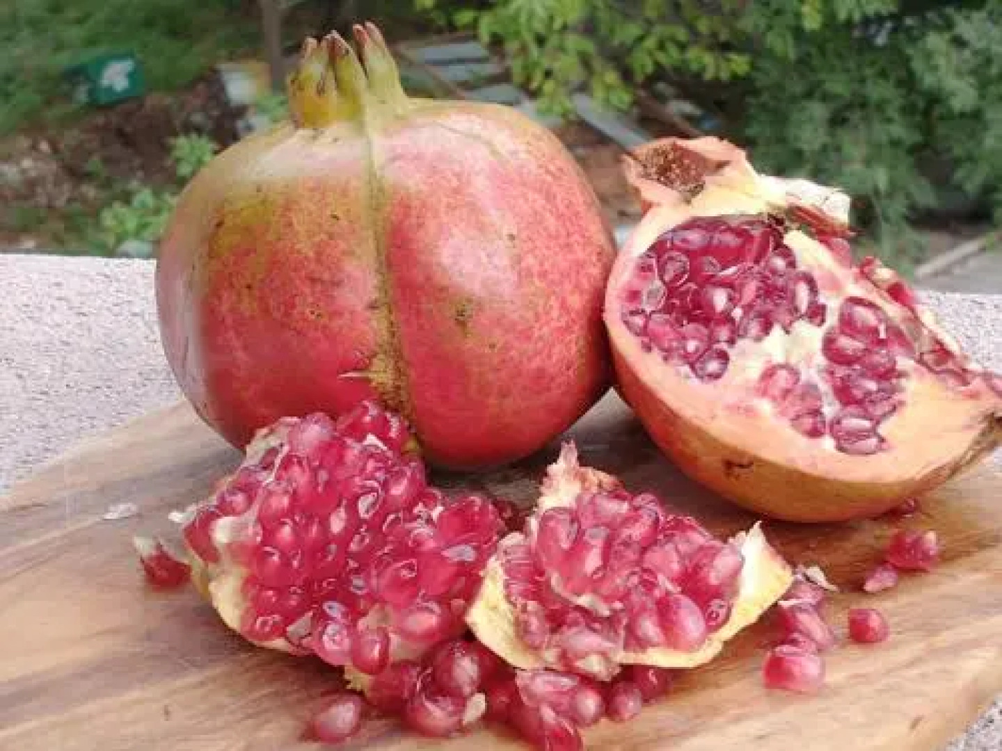 EcoHouse Risan Studio