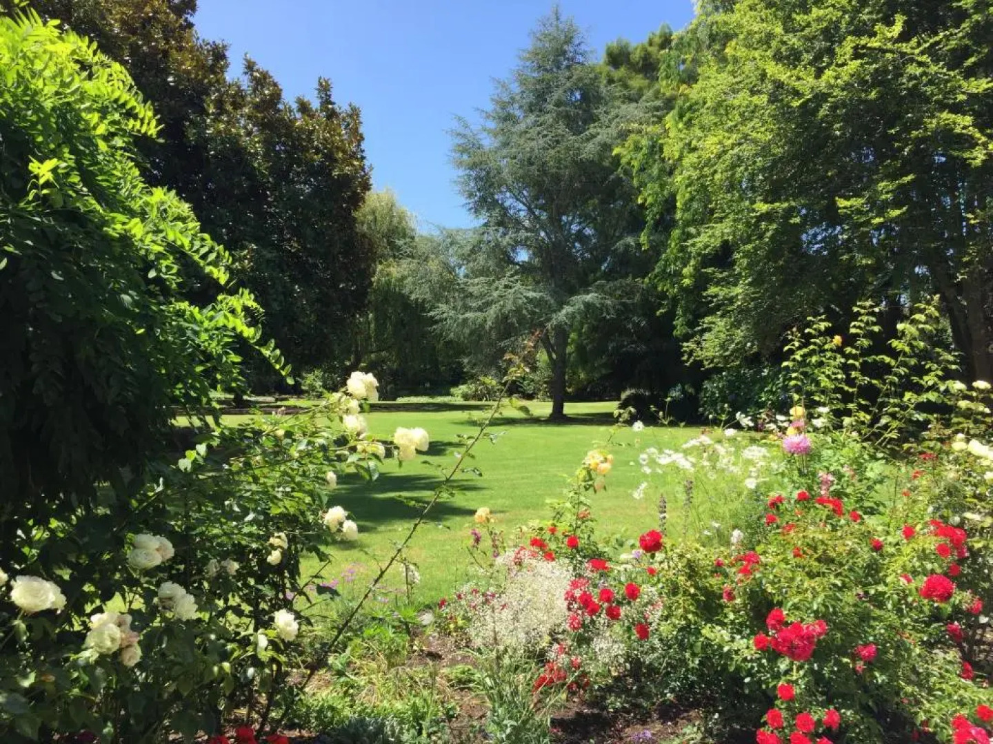 Columbus Suite at 144 on Jones