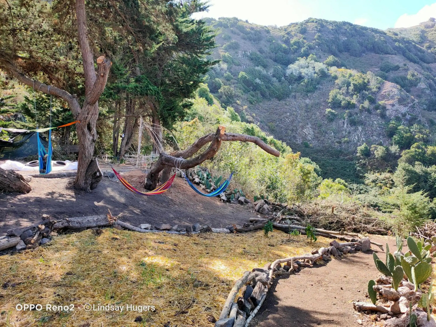 Free Canari - Los Alamos 8