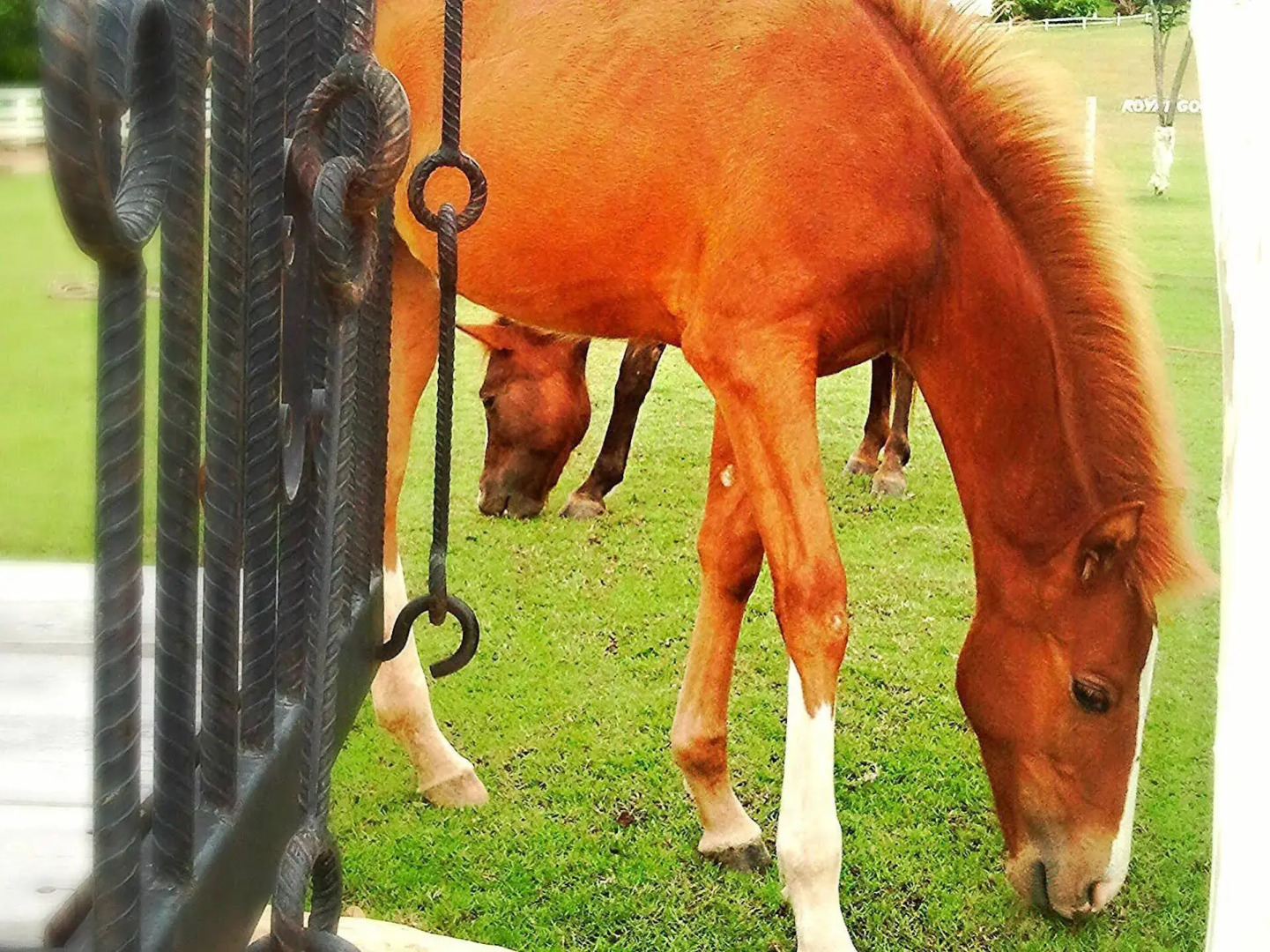 Royal Good View Resort & Farm