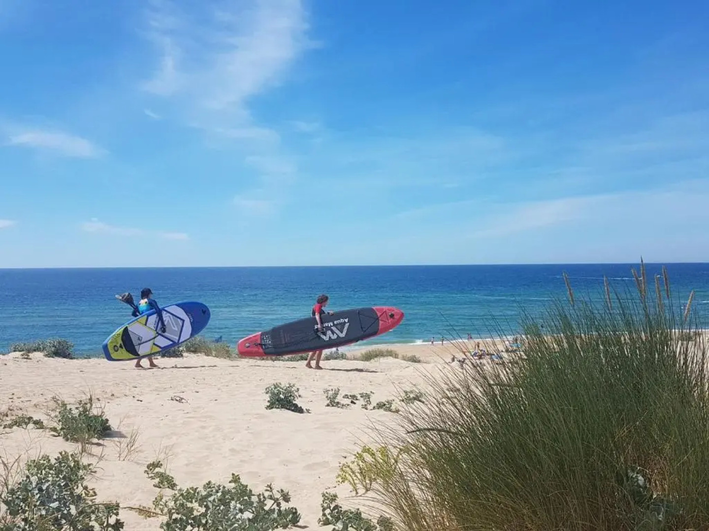 La Pinede Oceane,400m Des Plages