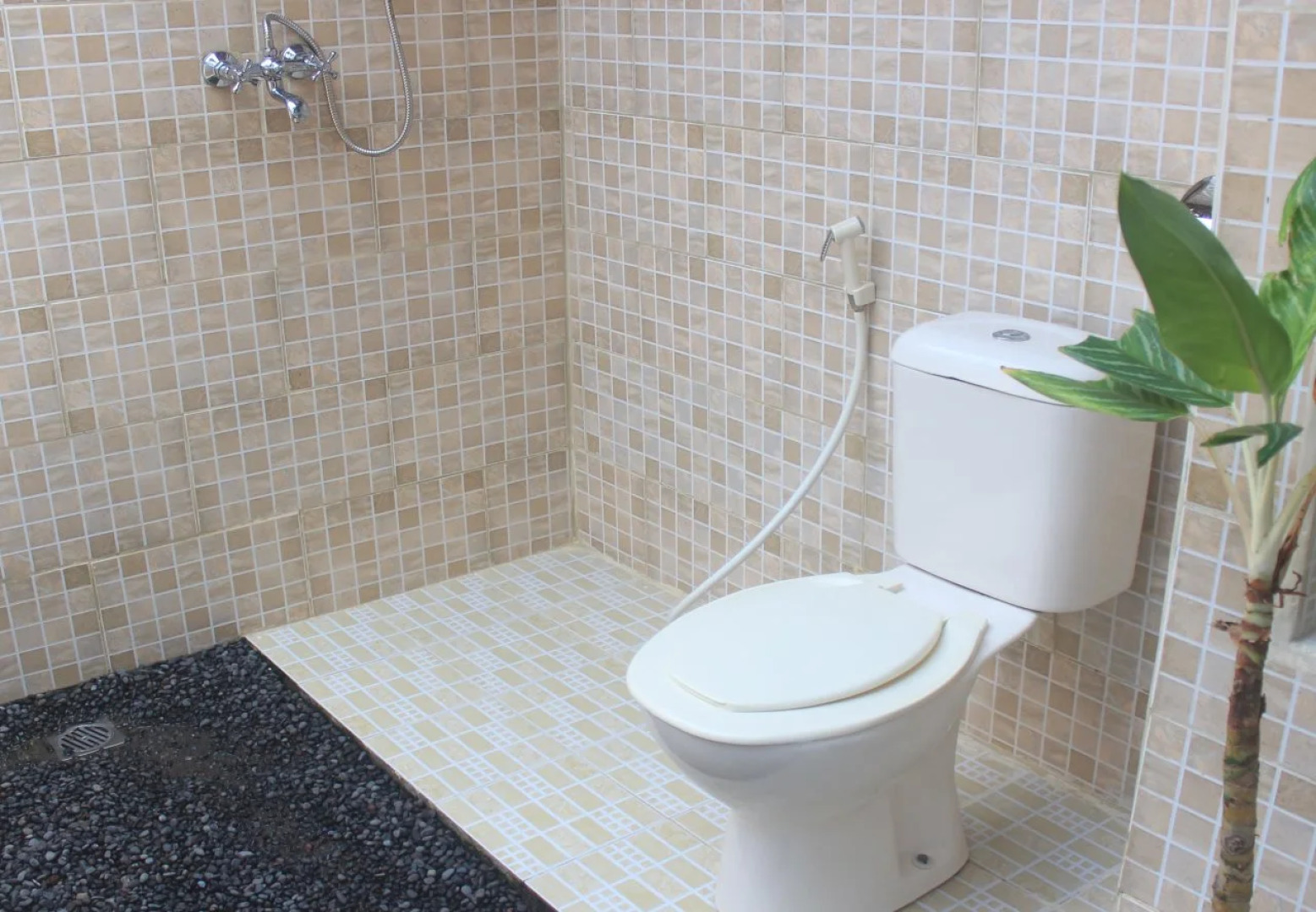 Tepi Sungai Guesthouse & Restaurant