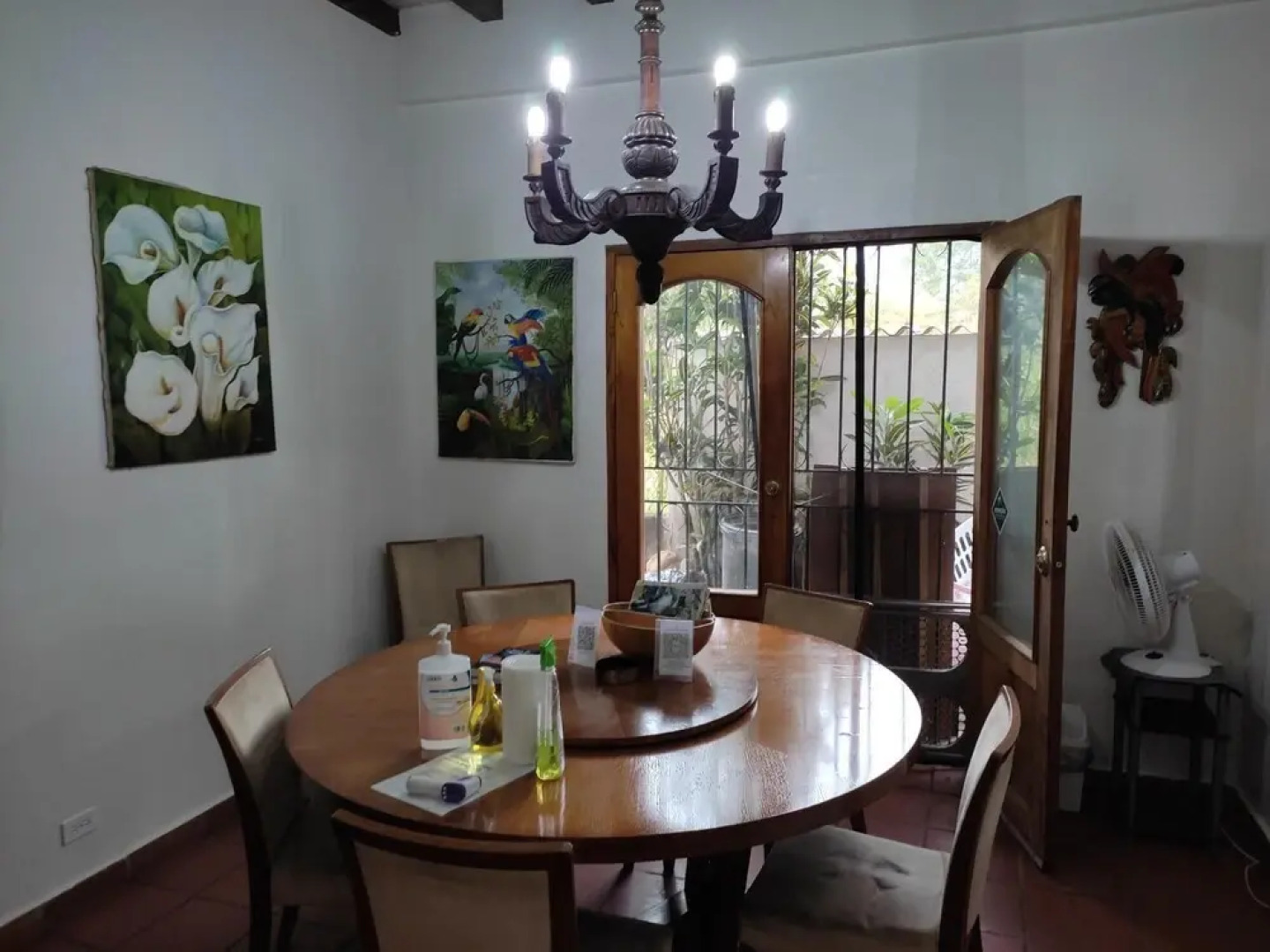 La Jungla Experience