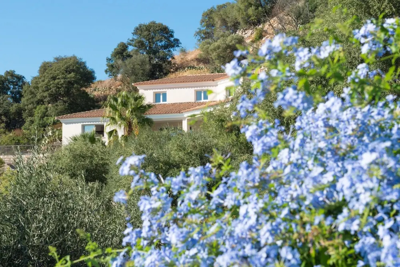 Domaine Paradisu - Villa Panoramique