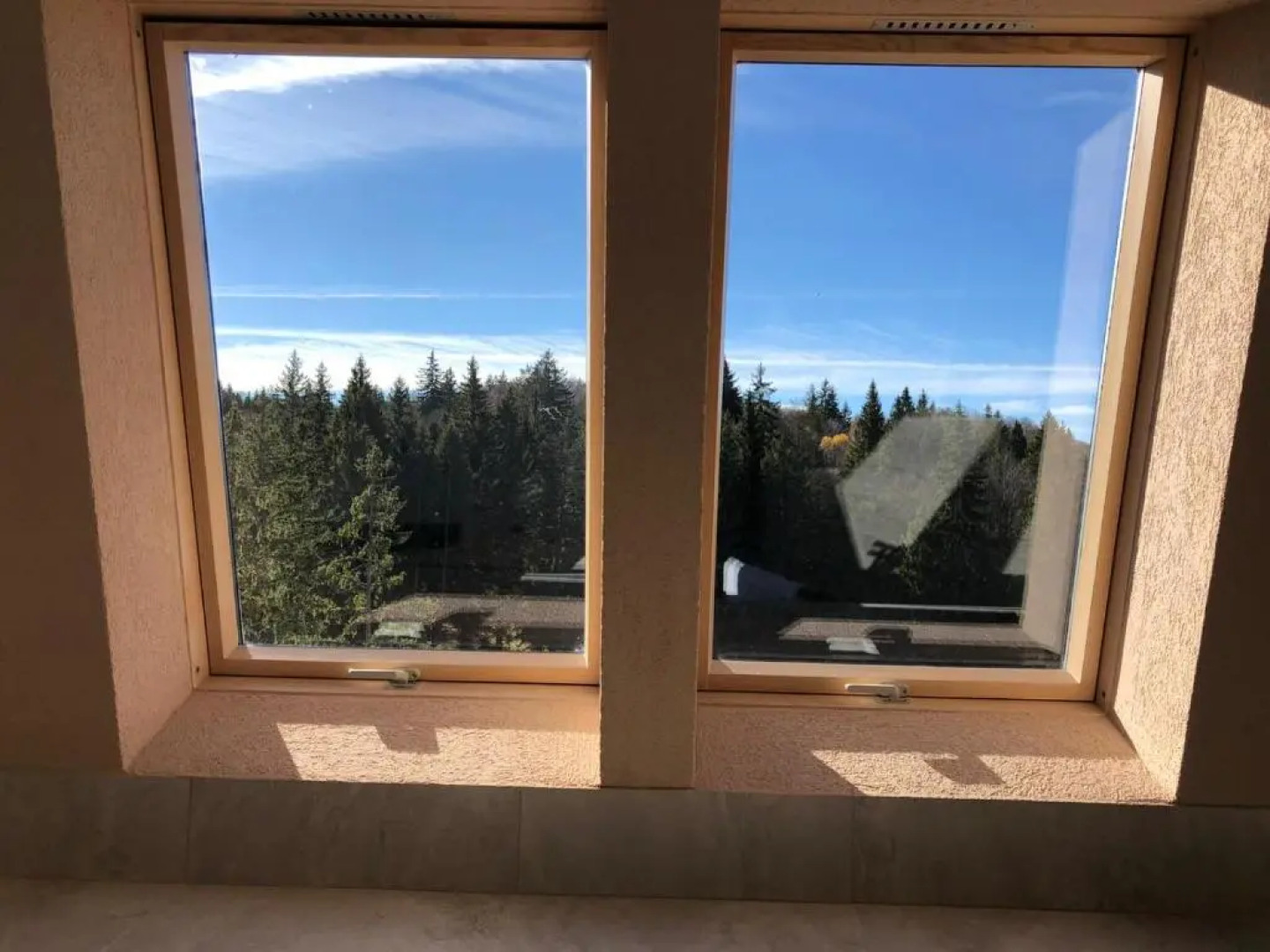 Elexus Poiana Brasov