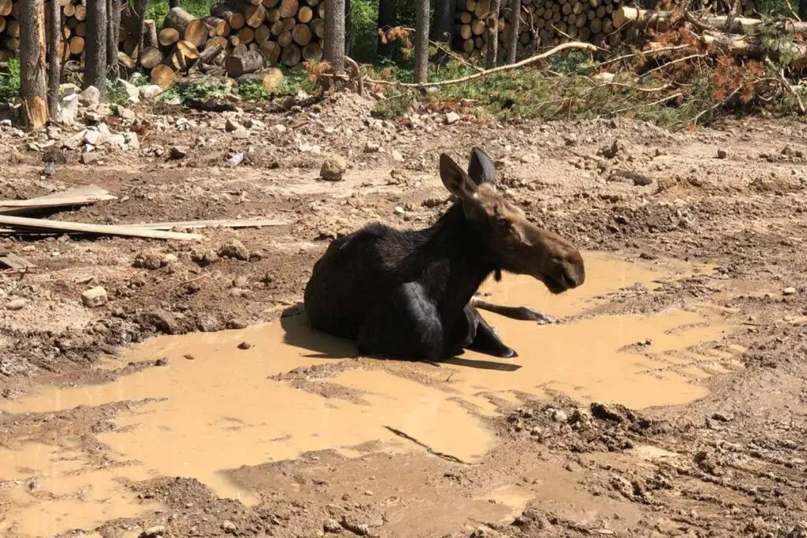 Yellowstone Crossing Lodge