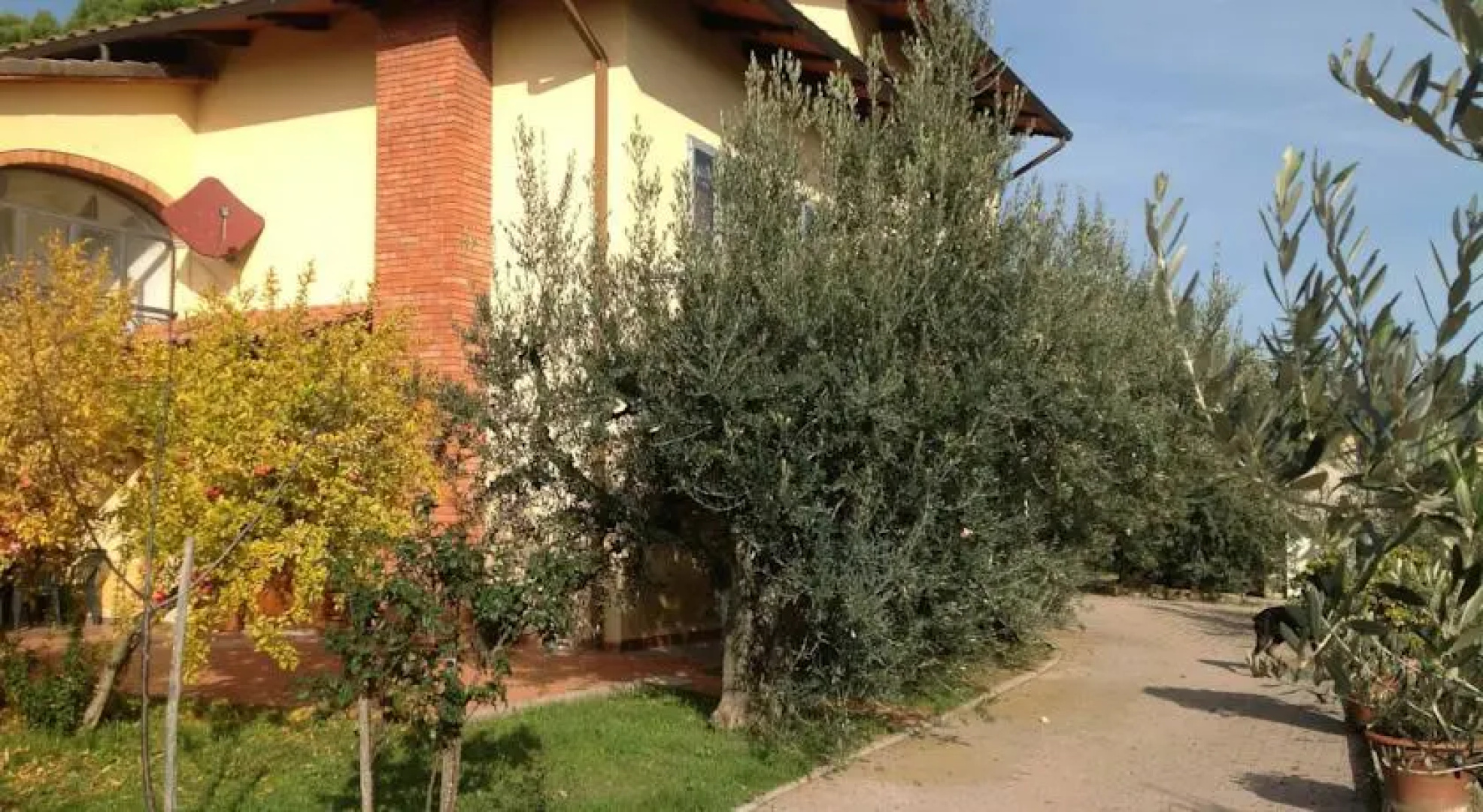 Al Querceto