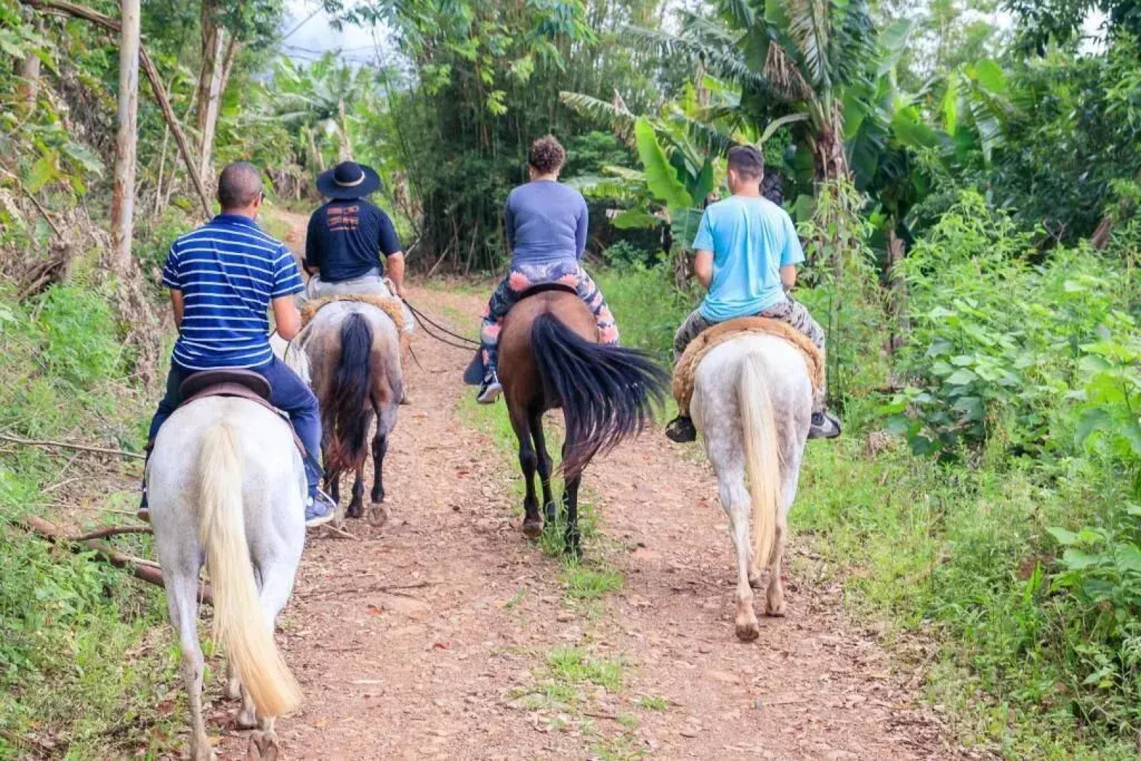 Pousada Chalés Vale do Rio do Boi