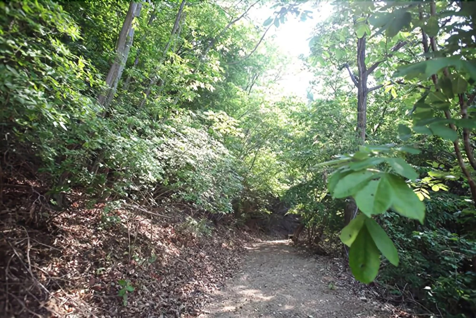 Yangpyeong Morningcam16 Pension