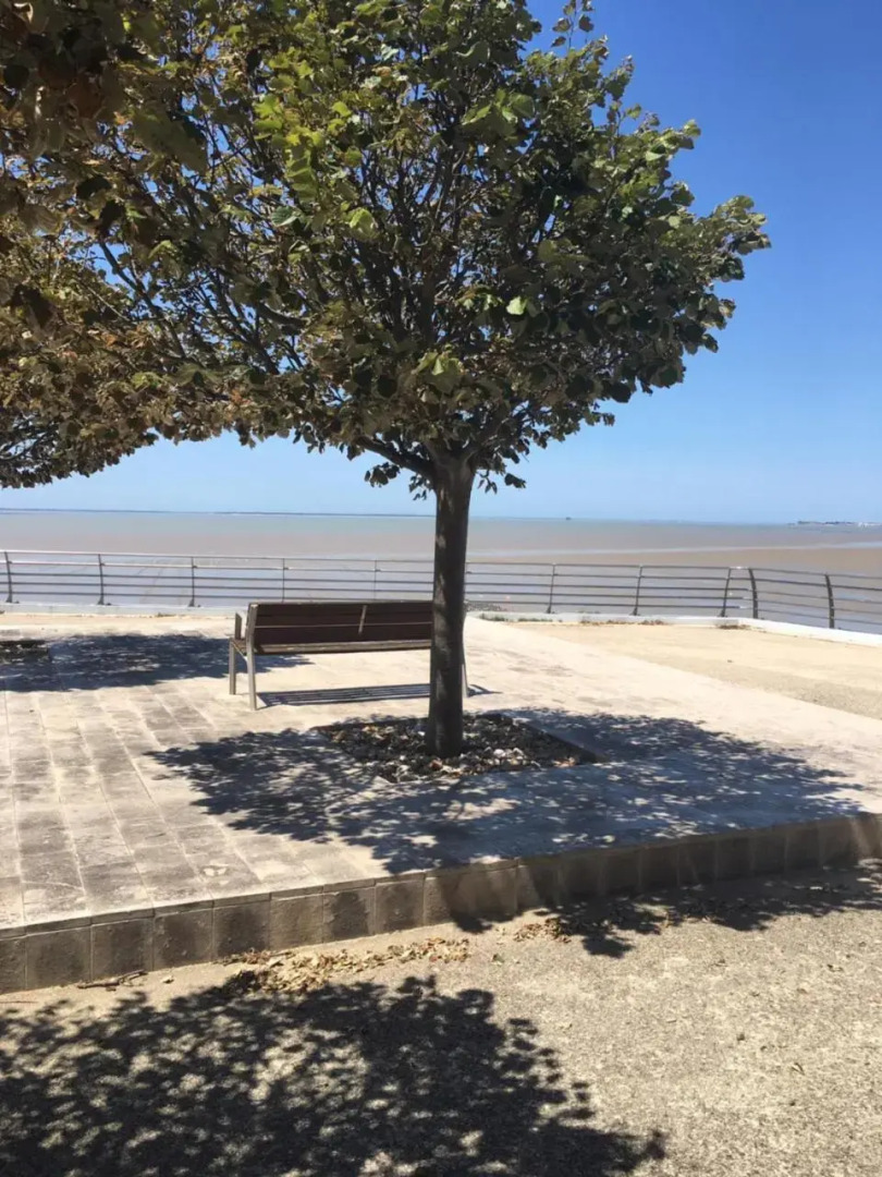 Petit nid à 50m de la plage au coeur de Fouras