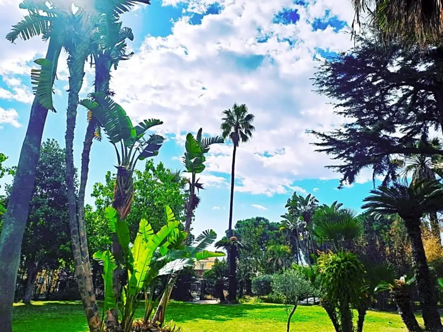 Villa dei Marchesi Carrozza