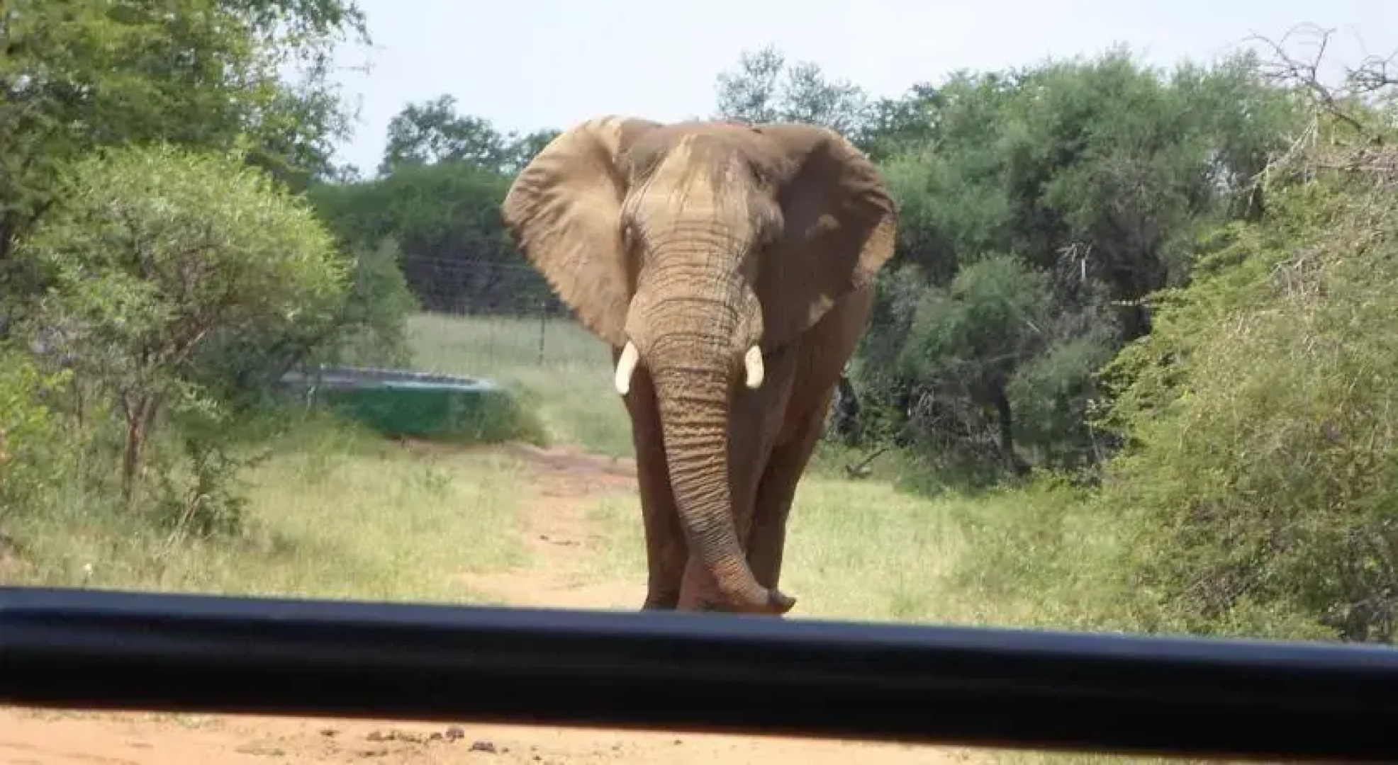 Leopardsong Game Lodge