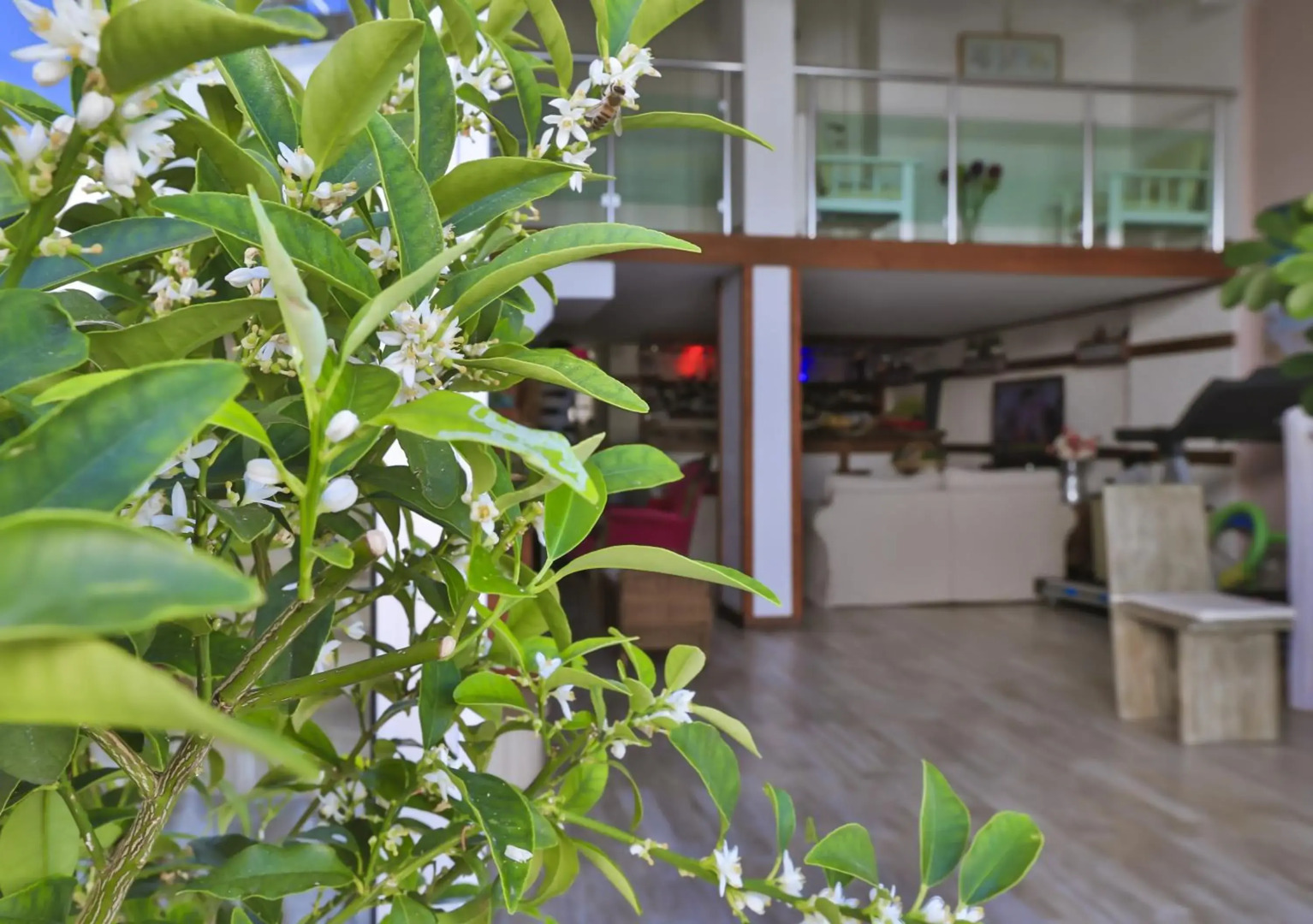 Отель Sonne - Adults Only