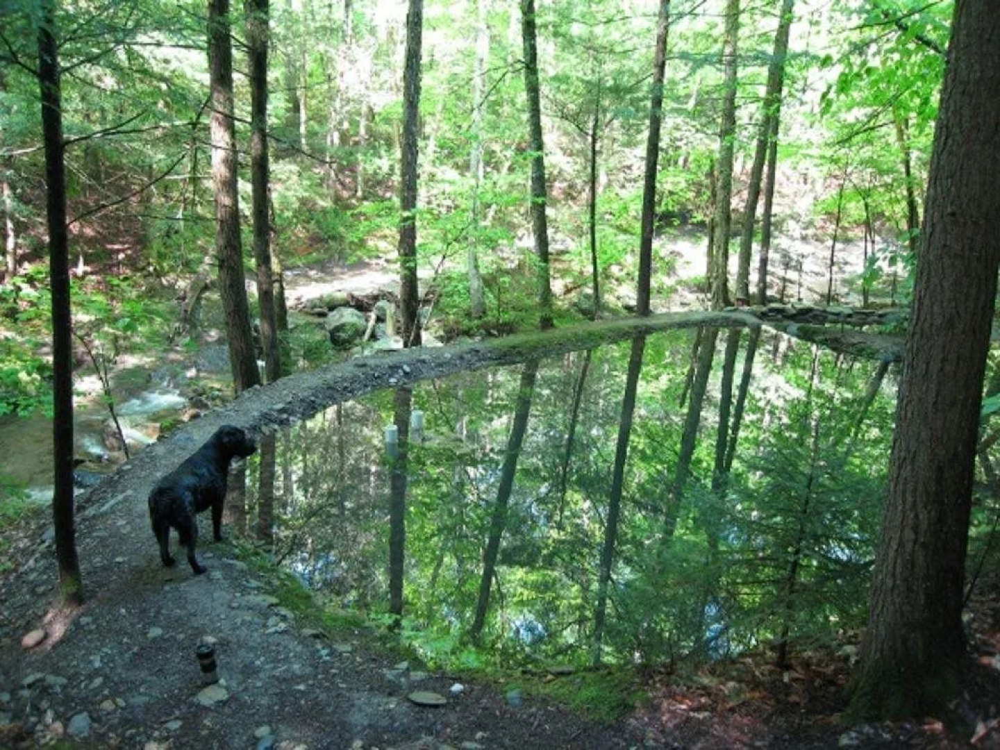 Garden Tower B and B