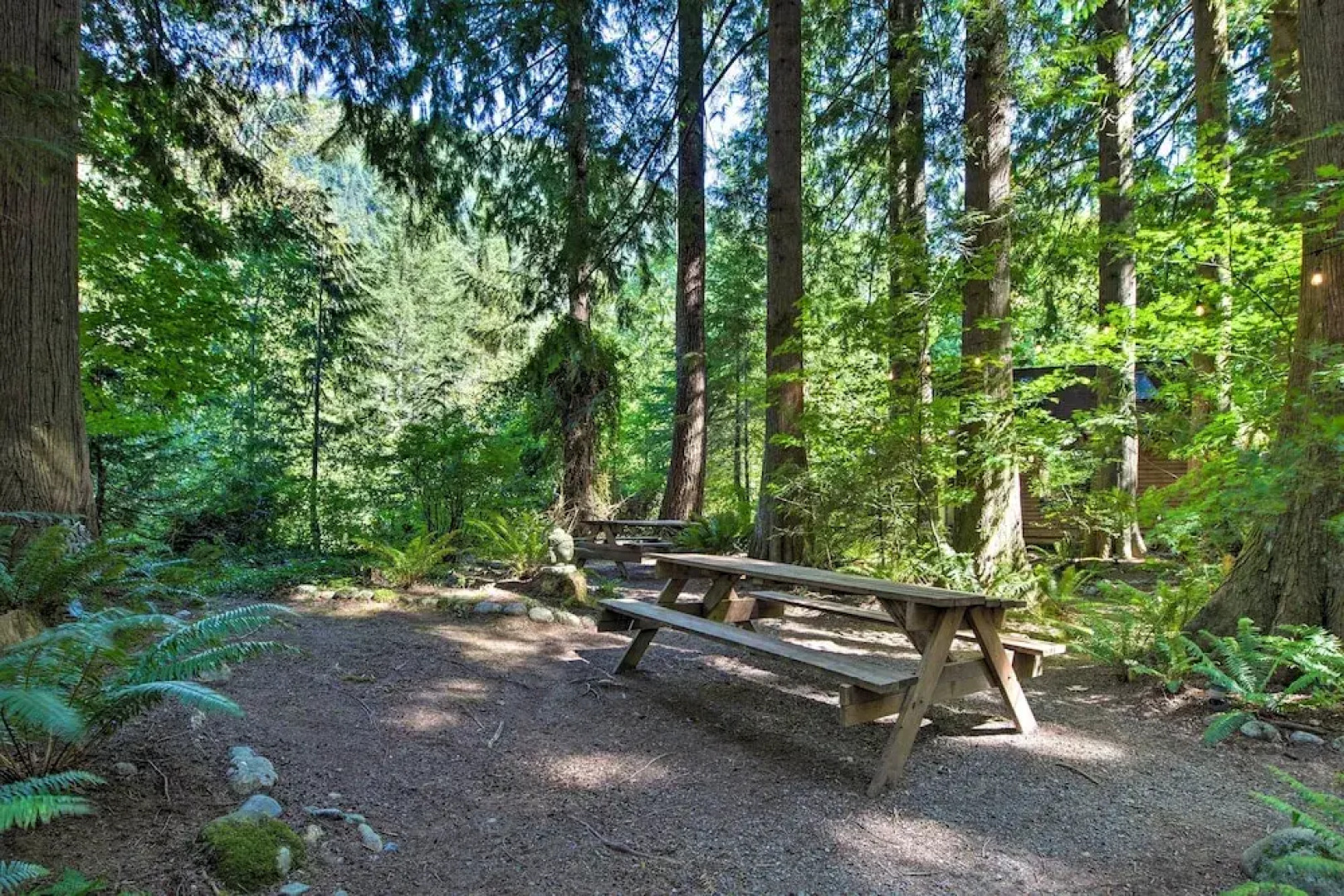 Three Enchanting Riverfront Cabins: Hot Tub Access