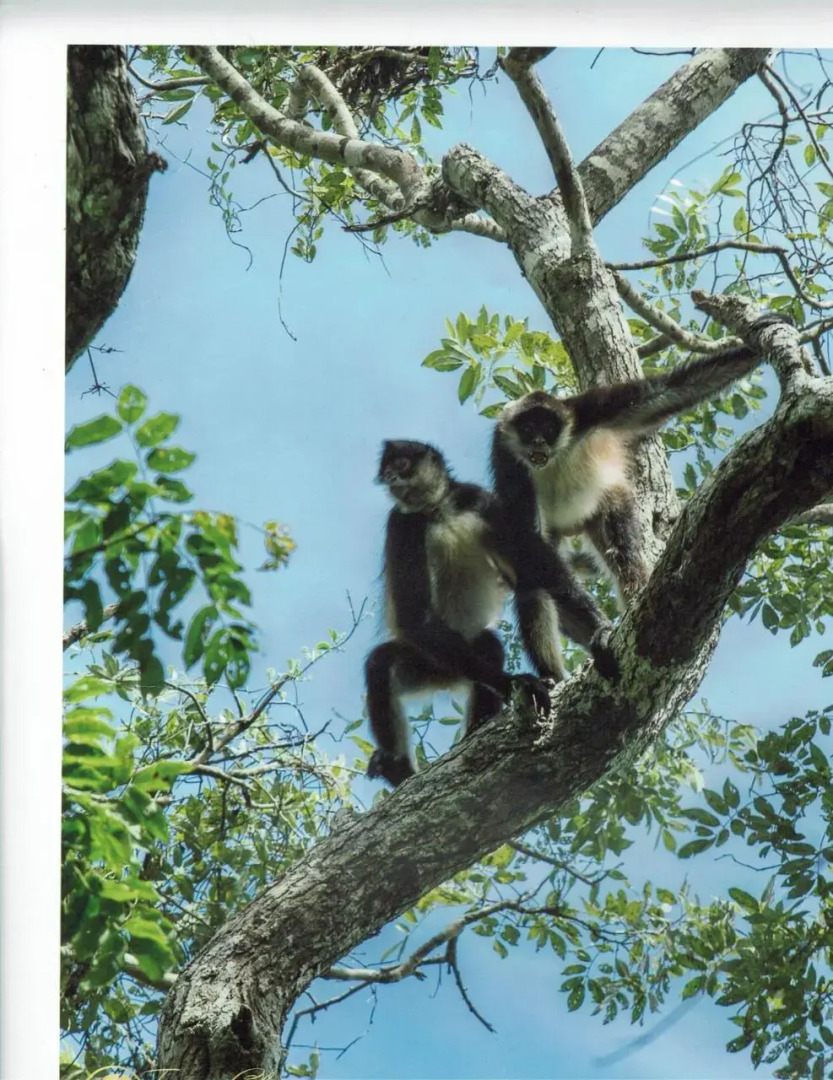 Posada Los Reyecitos