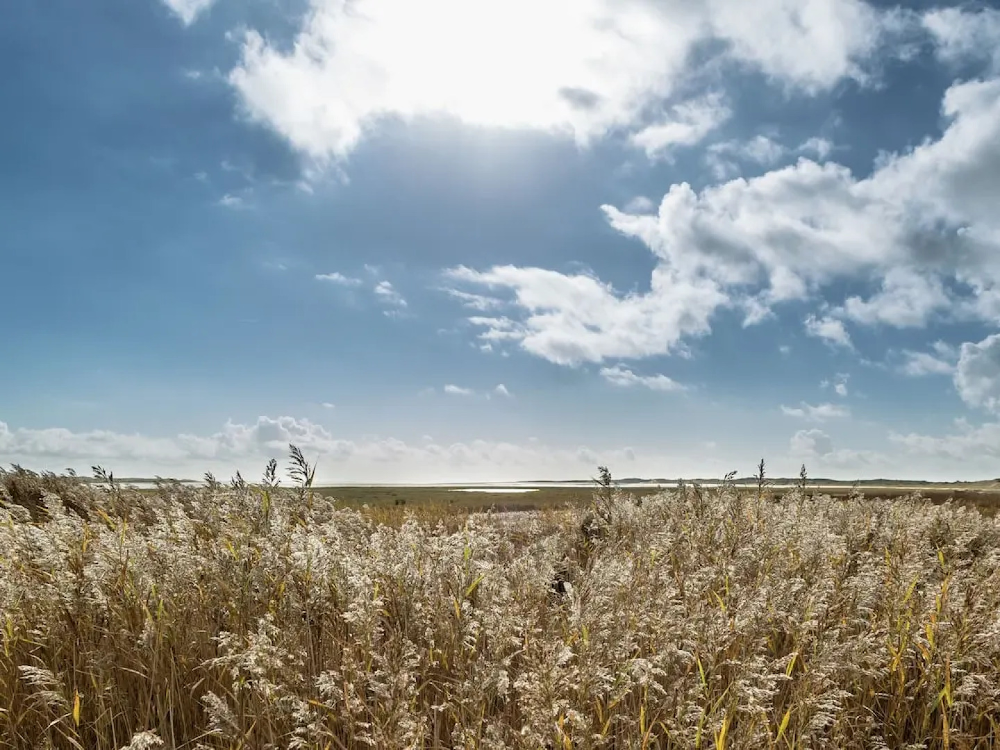 Lovely Holiday Home With Private Garden in Normandy