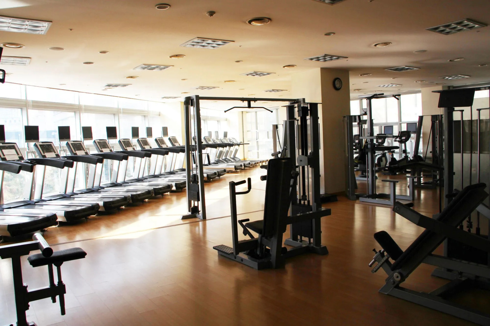 Busan Tourism Organization Arpina